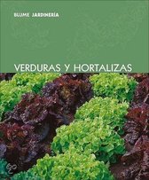 Verduras y Hortalizas