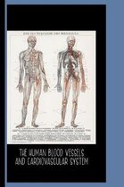 The Human Blood Vessels and Cardiovascular System (1898)