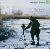 Nature Sounds: Winter Am Bodensee