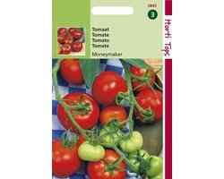 Hortitops Zaden - Tomaten Moneymaker