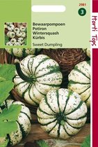 Hortitops Zaden - Wintersquash Sweet Dumpling (Cuc. Pepo)