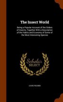 The Insect World