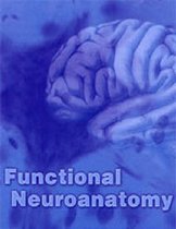 FUNCTIONAL NEUROANATOMY