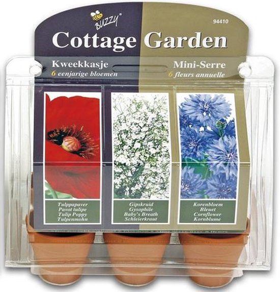 Foto: Buzzy kruidenzaad buzzy cottage garden kweekset