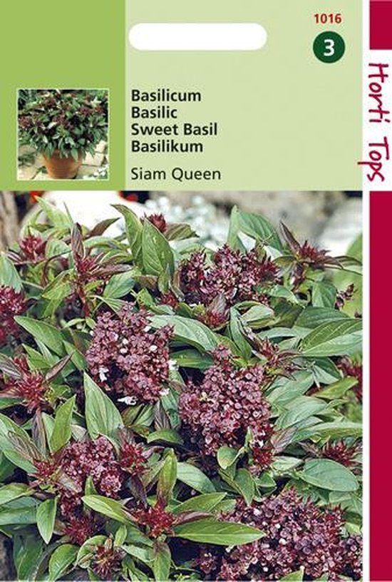 Hortitops Zaden - Basilicum Siam Queen