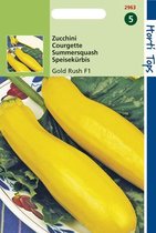 Hortitops Zaden - Zucchini Gold Rush F2