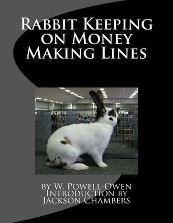 Rabbit Keeping on Money Making Lines - cover