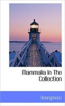 Mammalia in the Collection