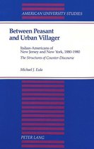 Between Peasant and Urban Villager: Italian-Americans of New Jersey and New York, 1880-1980