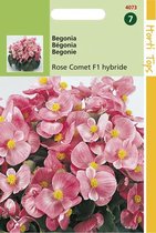 Hortitops Zaden - Begonia Semp. F1 Hybride Rose Komeet