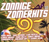 Various Artists - Zonnige Zomerhits (2 CD)