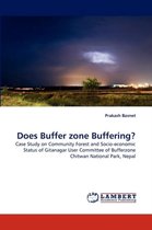 Does Buffer Zone Buffering?