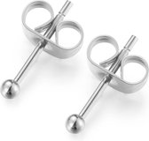 Fashionthings Knopjes Oorbellen Zilver - Dames - 316 stainless steel - Zilverkleurig - 2 mm