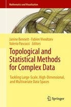 Mathematics and Visualization - Topological and Statistical Methods for Complex Data
