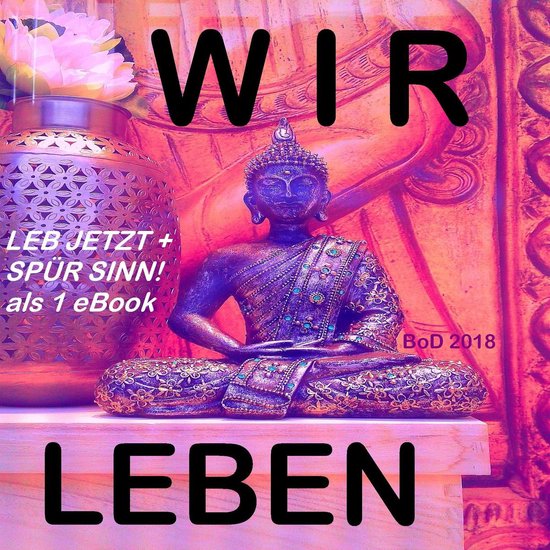 Wir leben - cover