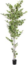 Europalms Berk Berkenboom, 210cm - Kunstplant