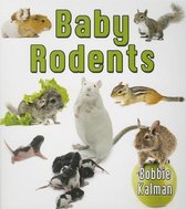 Baby Rodents