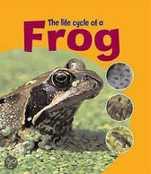 The Life Cycle Of A Frog