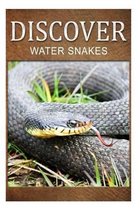 Water Snake - Discover