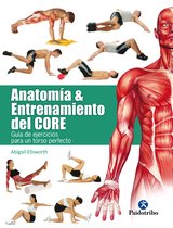 Anatomía - Anatomía y entrenamiento del core