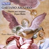 Fabio Merlin - Amadeo: Opere Per Organo (Organ Works) (CD)