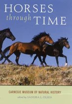 Horses through Time