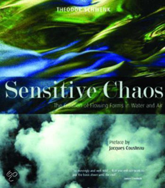 Sensitive Chaos - cover