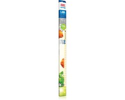 Juwel Led Nature - Aquariumlamp - 6500k - 19 Watt - 742 mm - 2185 Lumen