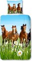 foto van Good Morning 5316-P Paarden kinderdekbedovertrek - eenpersoons  140x200/220 cm - katoen -multicolor