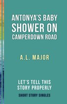 Antonya's Baby Shower on Camperdown Road