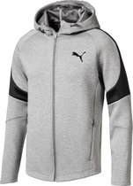 PUMA Evostripe Move FZ Hoodie Heren - Medium Gray Heather