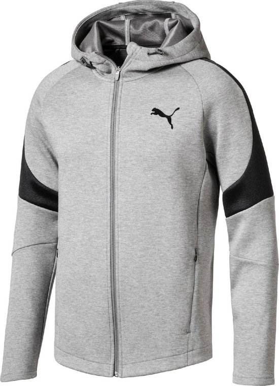 Puma Essentials heren hoodie online bestellen | Scapino