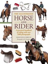 Illustrated Horse and Rider