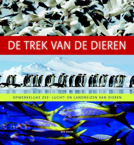 Cover van het boek 'De trek van de dieren'