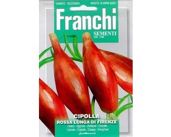 Franchi - Cipolla rossa Lunga Da Firenze - Uien Lang