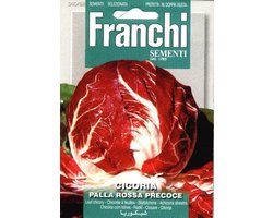 Franchi - Cicoria Palla Rossa Precoce - Roodlof