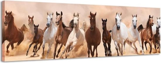 Wilde paarden - Canvas Schilderij Panorama 158 x 46 cm | bol.com