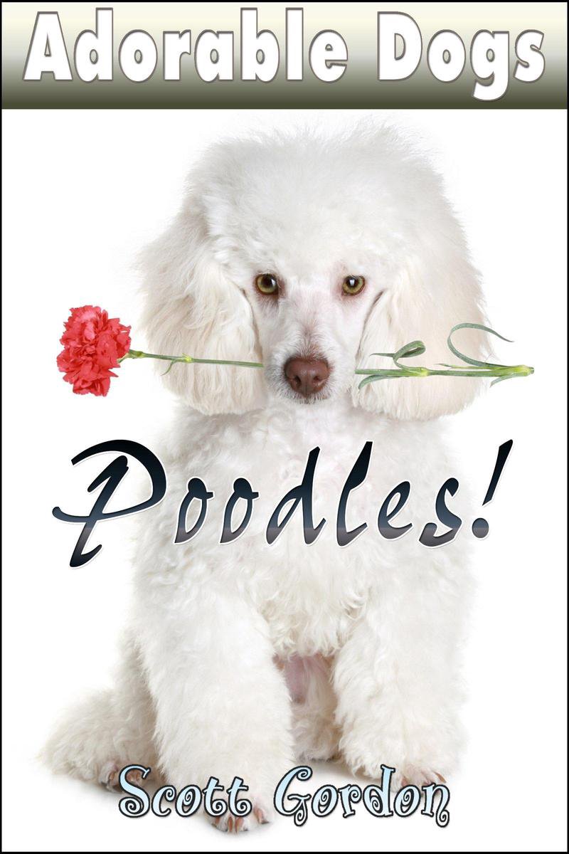 Adorable Dogs - Adorable Dogs: Poodles! - Scott Gordon