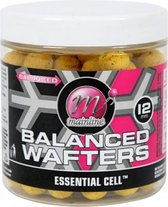 Mainline Balanced Wafters | Essential Cell | 12mm