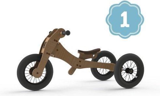 Trybike 4-in-1 Roze | bol.com