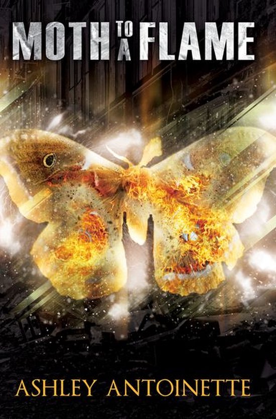 Moth to a Flame - cover