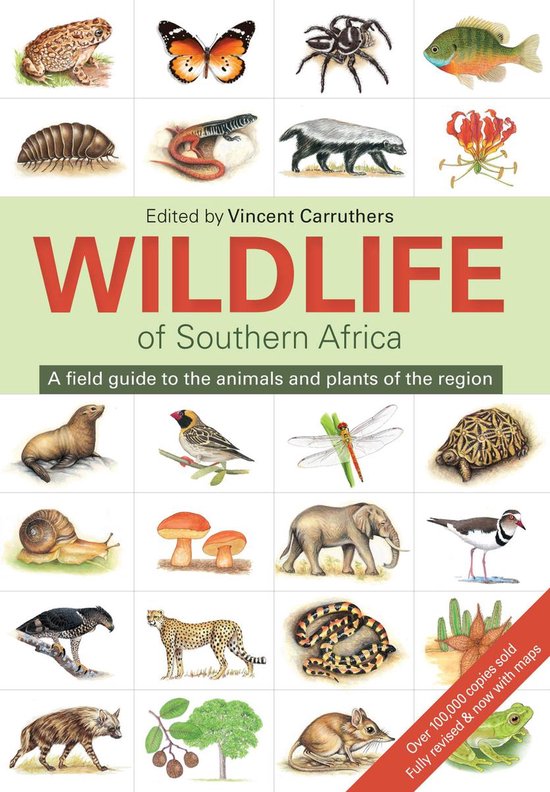The Wildlife of Southern Africa - cover
