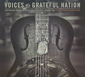 Voices Of A Grateful Nation: Supporting American Troops And Veterans, Vol. 2 - Texas Country & Americana