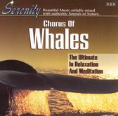 Nature's Moods, Vol. 2: Chorus of Whales