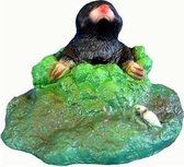 Tuinbeeld Mol 20 cm
