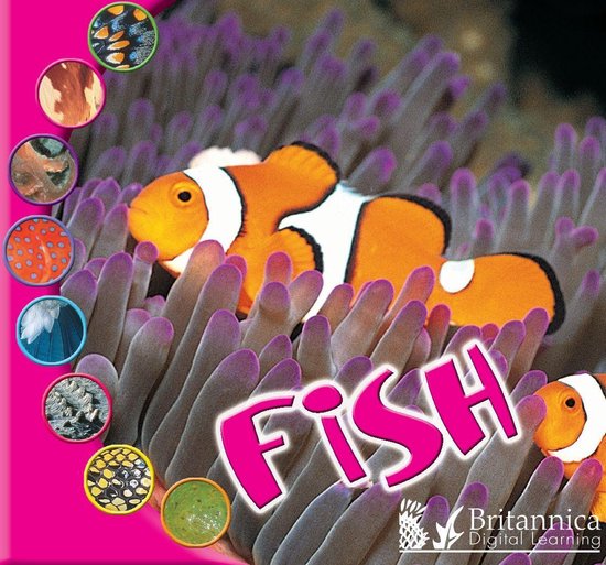 What Is an Animal? - Fish - cover