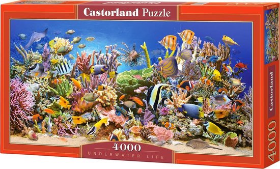 Doos van Castorland puzzel 'Underwater Life' met 4000 stukjes. Afbeelding van een levendig koraalrif met veel kleurrijke vissen.