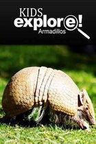 Armadillos - Kids Explore