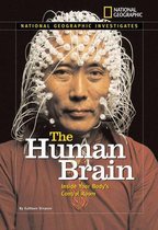 The Human Brain