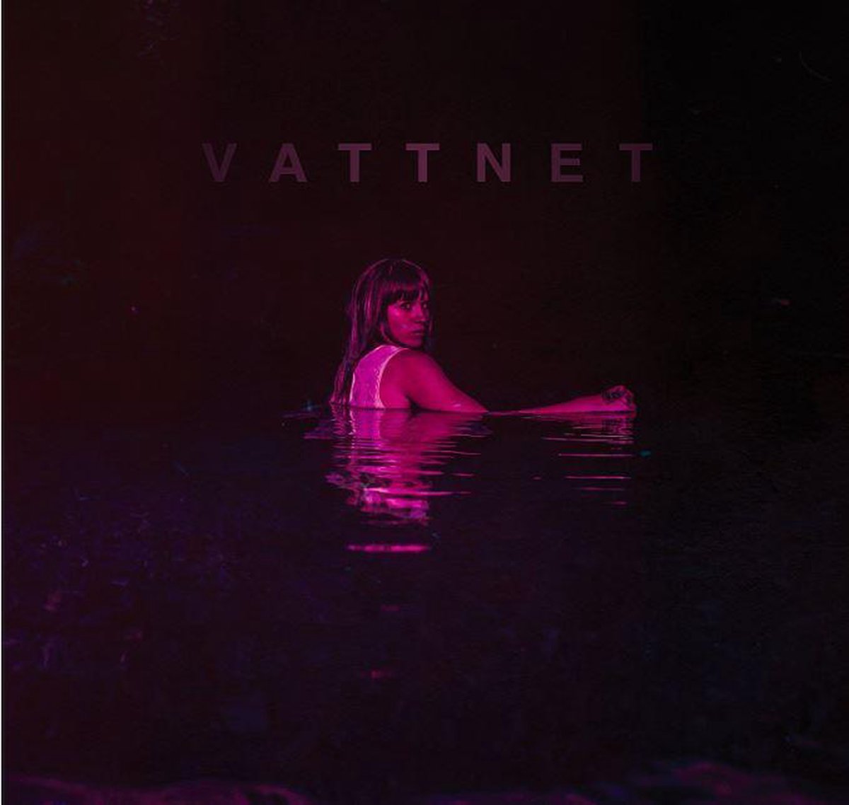 Vattnet